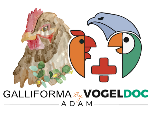 Kotuntersuchung? Alle 6 Monate!