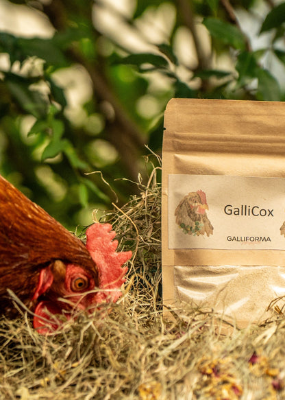 GalliCox