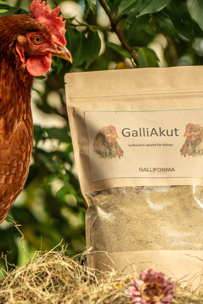 GalliAkut - der Brei speziell für Hühner