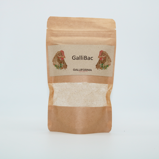 GalliBac